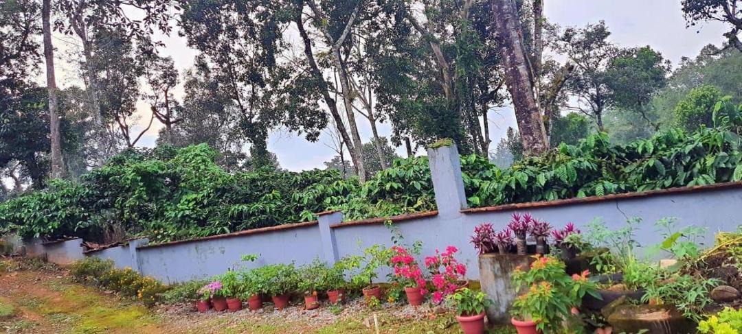 Photo of Others in Madikeri