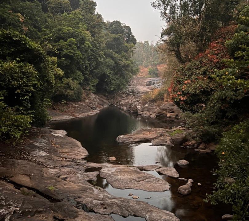 Photo of Others in Bhagamandala