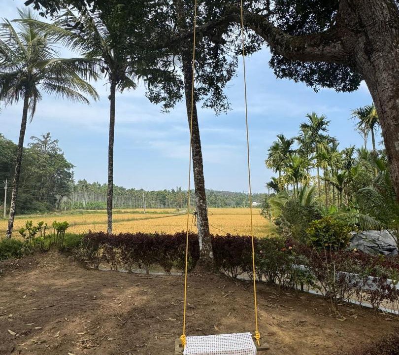 Photo of Outdoor in Mananthavady