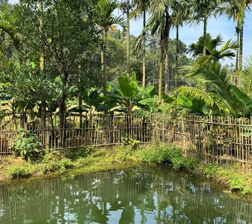 Photo of Others in Mananthavady
