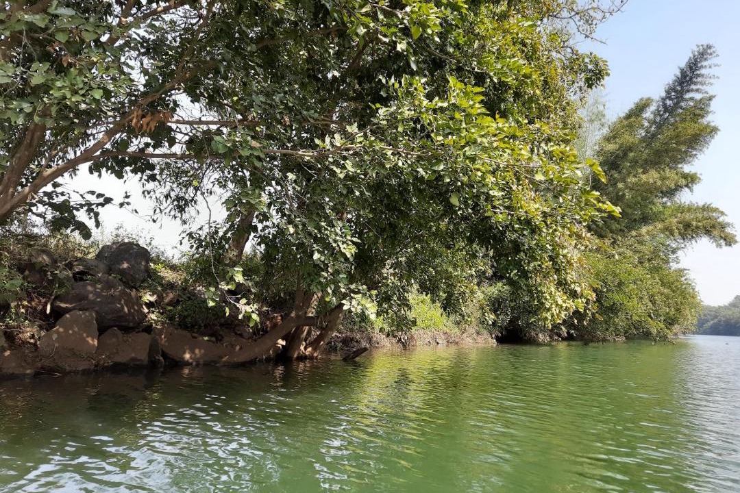 Photo of Others in Kadadhe