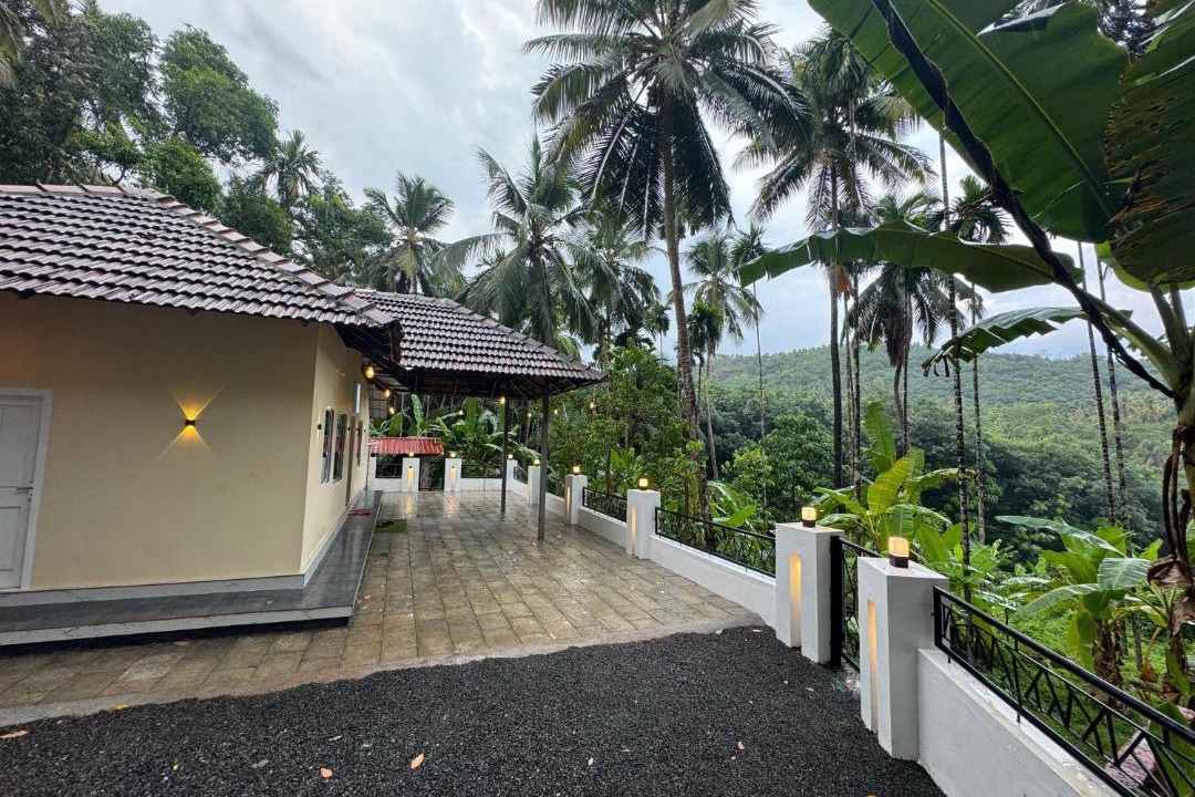Photo of Others in Talipparamba