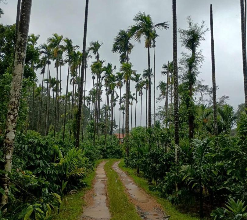 Photo of Others in Kaimane