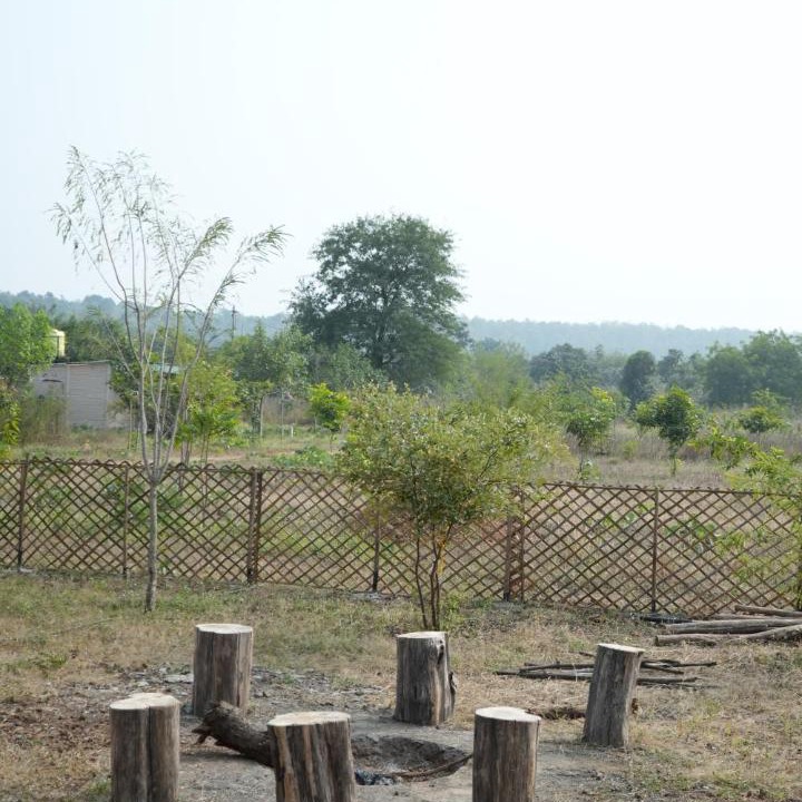 Photo of Others in Pandharkawada