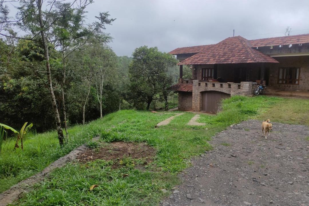 Photo of Others in Thekkady