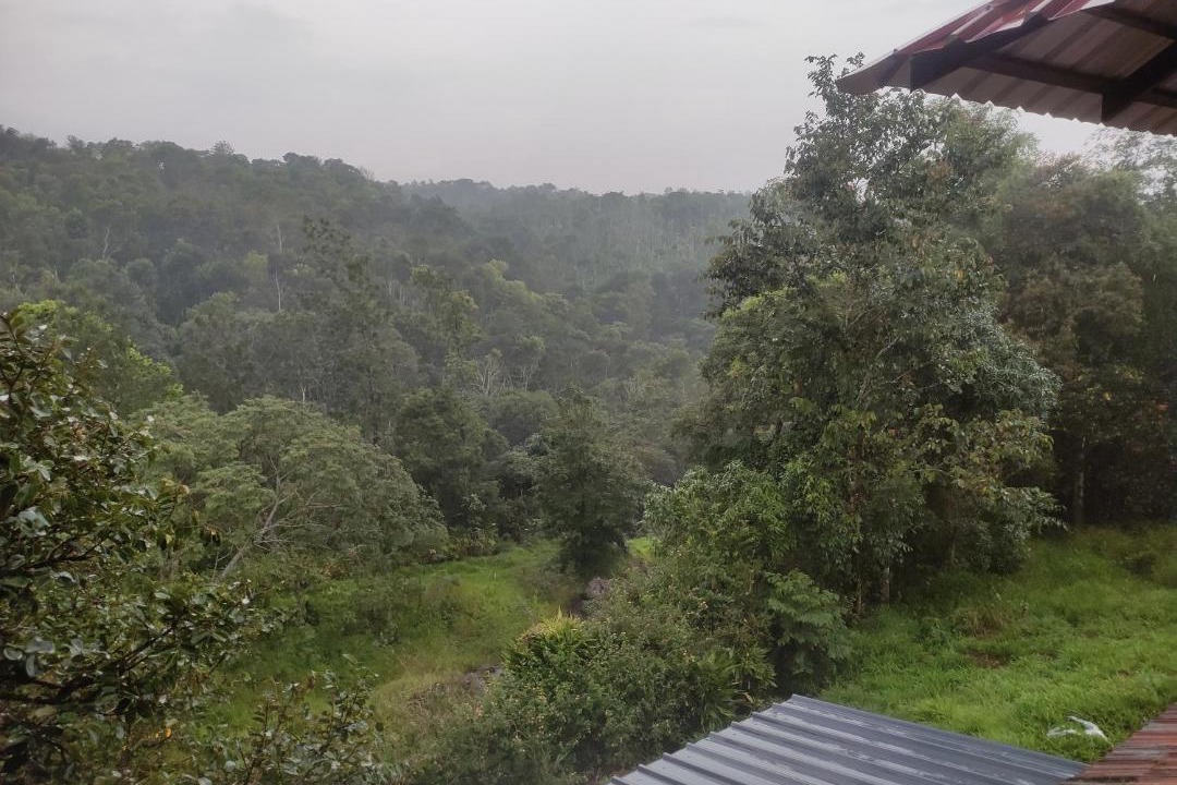Photo of Others in Thekkady