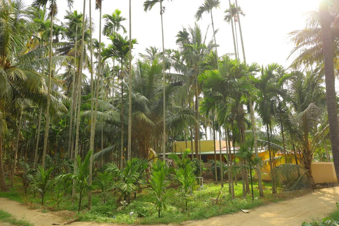 Photo of Others in Coimbatore