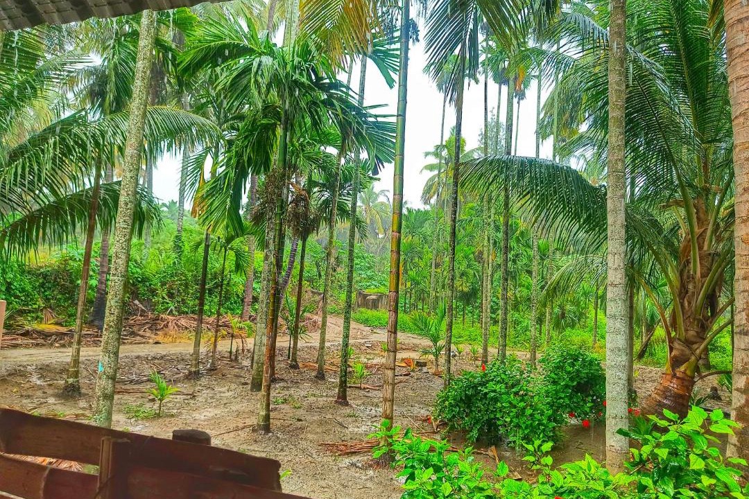 Photo of Others in Coimbatore