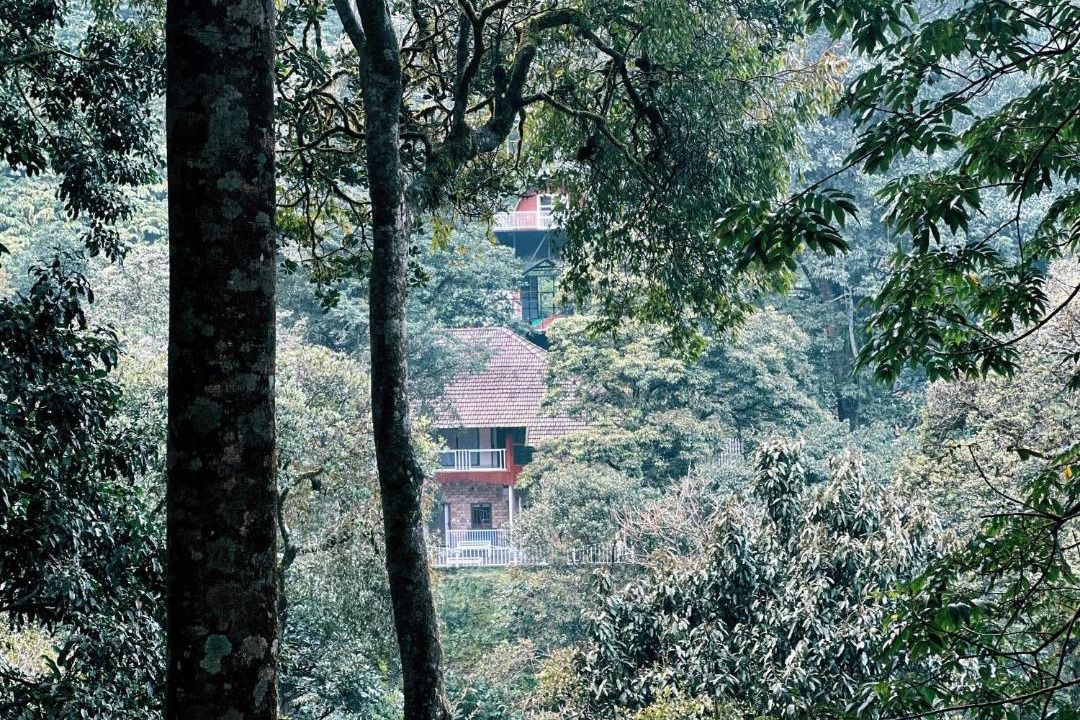 Photo of Others in Lakkidi