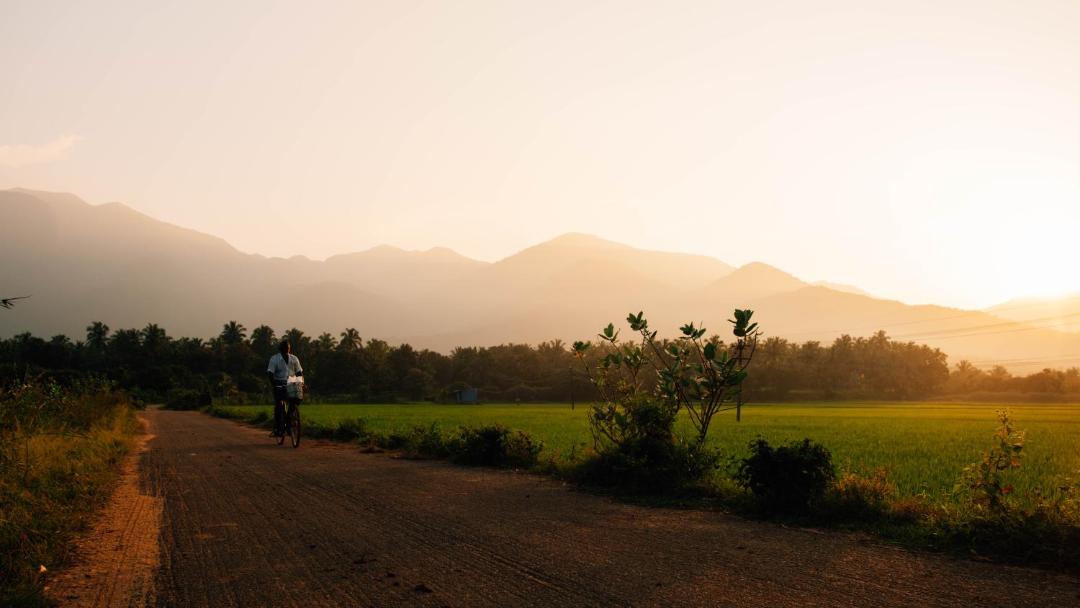 Photo of Others in Tenkasi