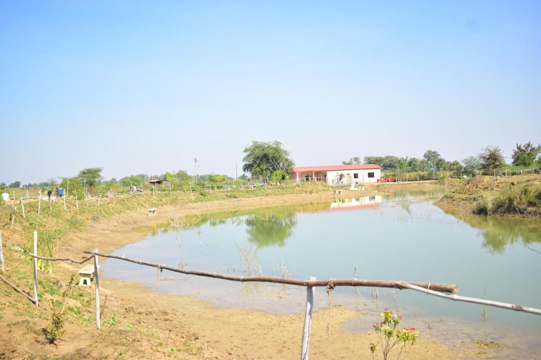 Photo of Others in Chimur