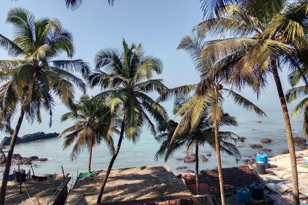 Photo of Others in Arambol