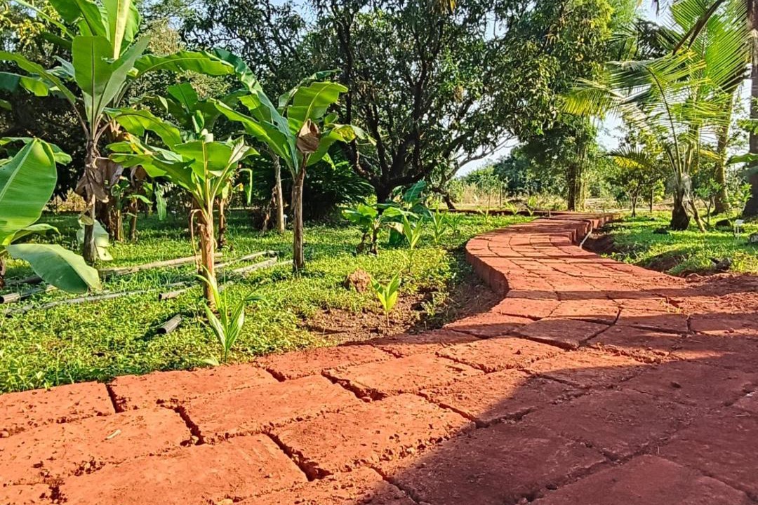 Photo of Others in Devgad