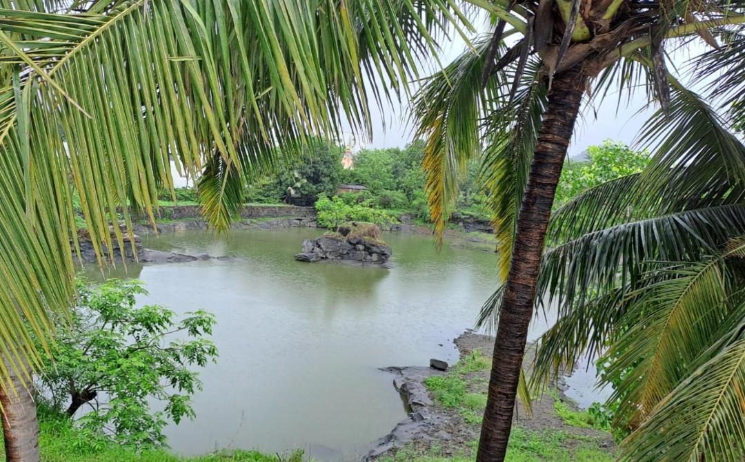 Photo of Others in Palghar