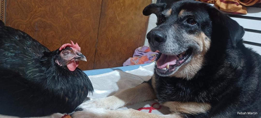 Photo of Others in Mira Road East