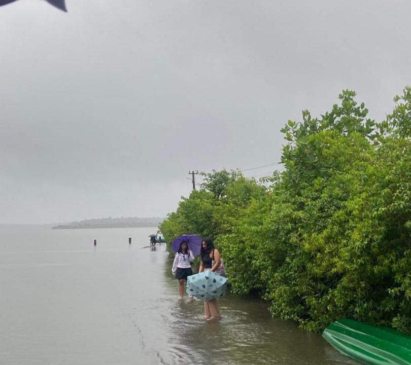 Photo of Others in Munroe Island