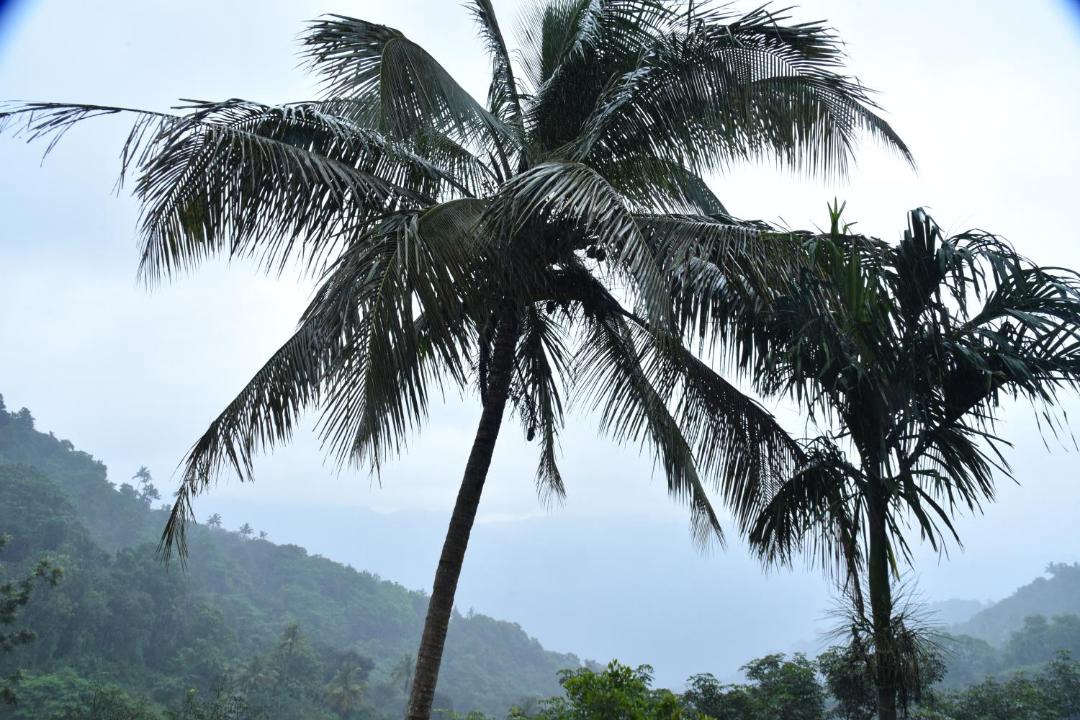 Photo of Others in Elappara