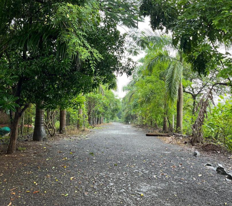 Photo of Outdoor in Murbad