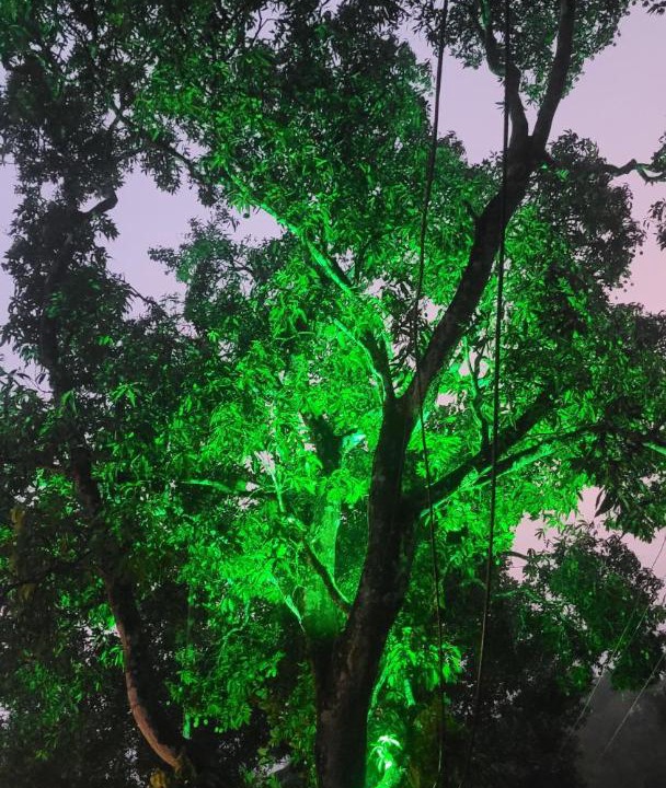 Photo of Others in Todupulai