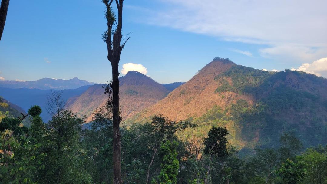 Photo of Others in Todupulai
