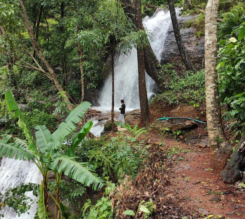 Photo of Others in Sakleshpur
