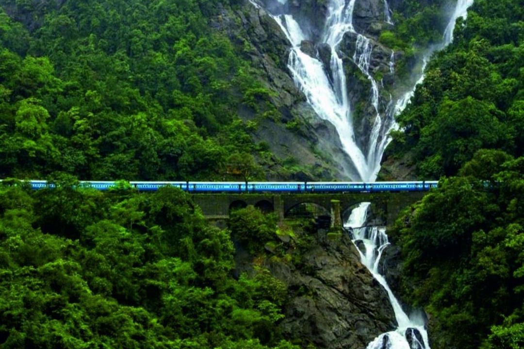 Photo of Others in Timbholi