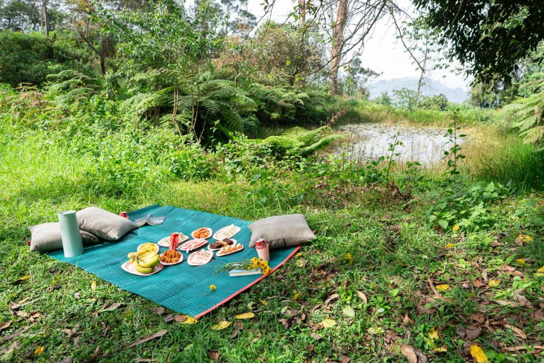 Photo of Others in Kodaikanal