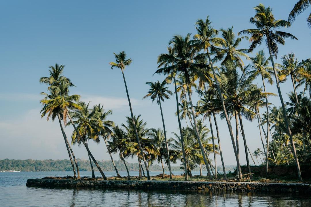 Photo of Others in Munroe Island