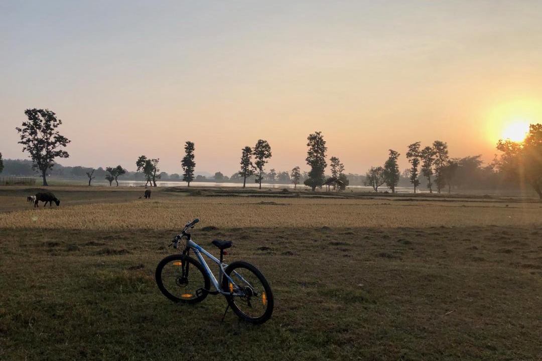 Photo of Others in Kanha