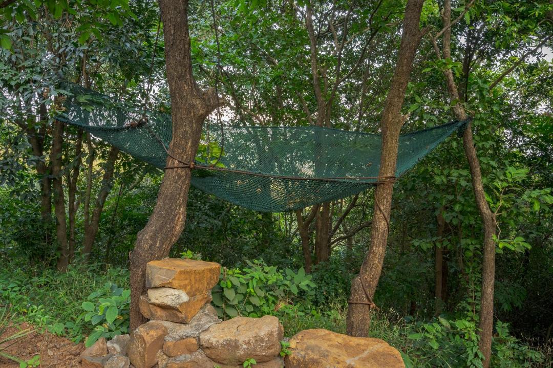 Photo of Others in Lonavala