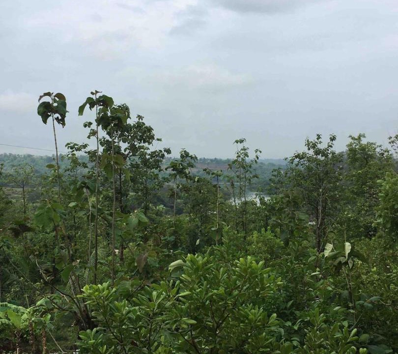 Photo of Others in Kolad