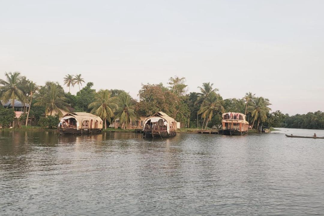 Photo of Others in Nedumudy