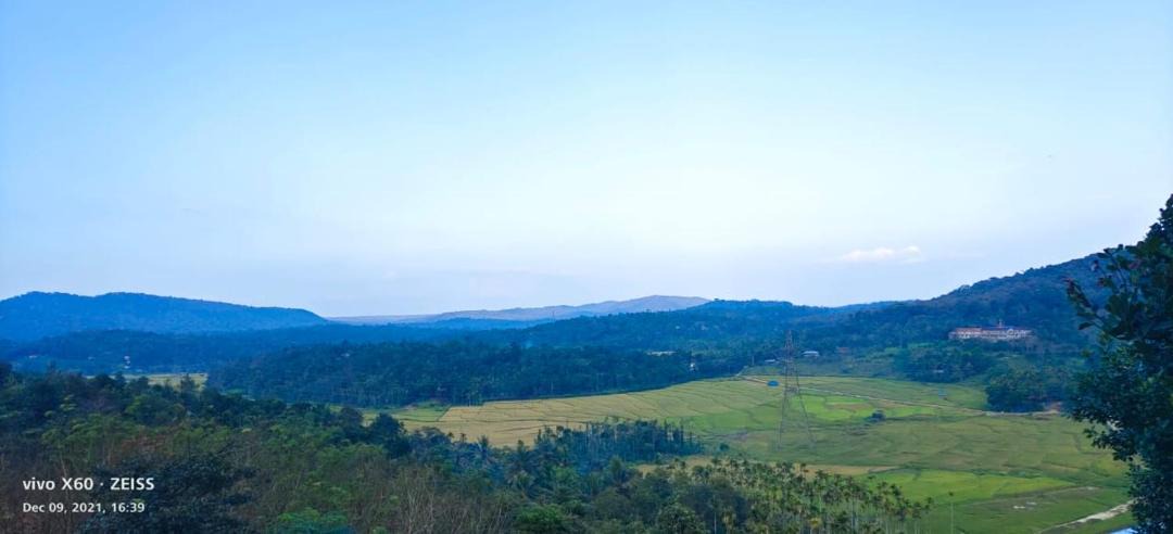 Photo of Others in Kattikkulam