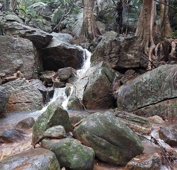 Photo of Others in Punalur