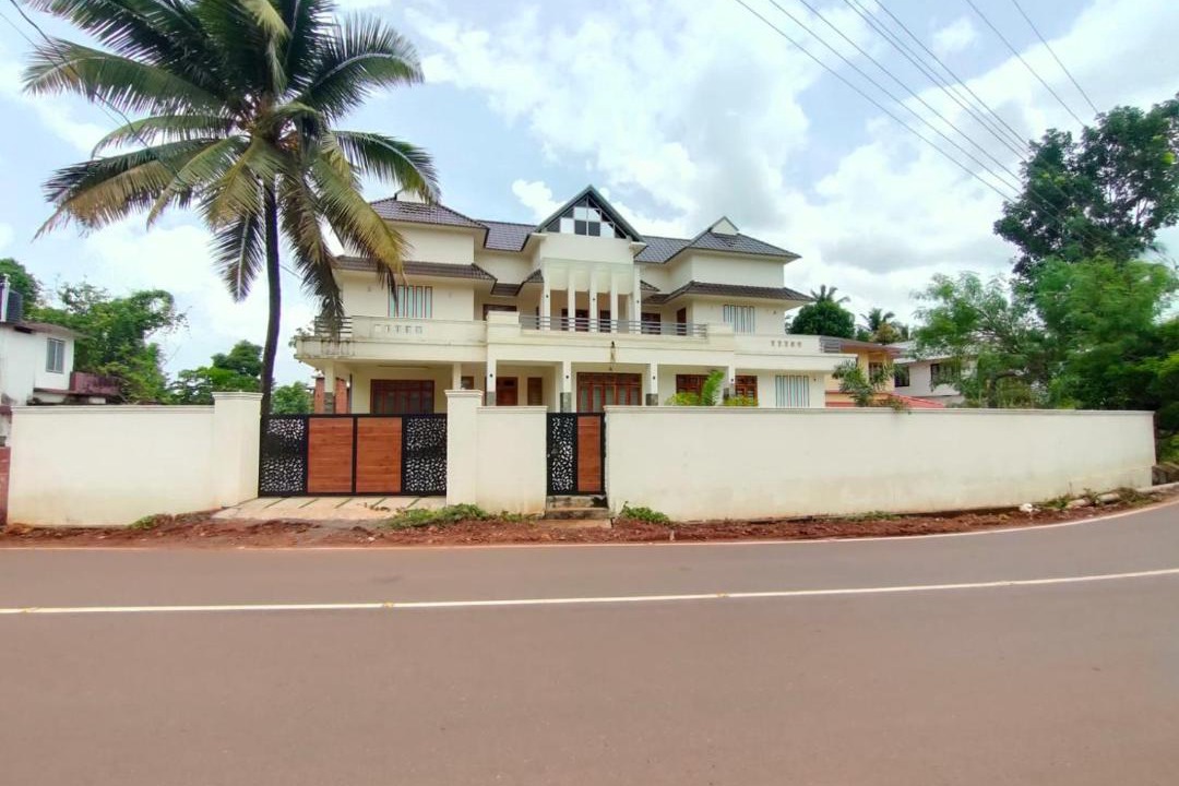 Photo of Others in Talipparamba