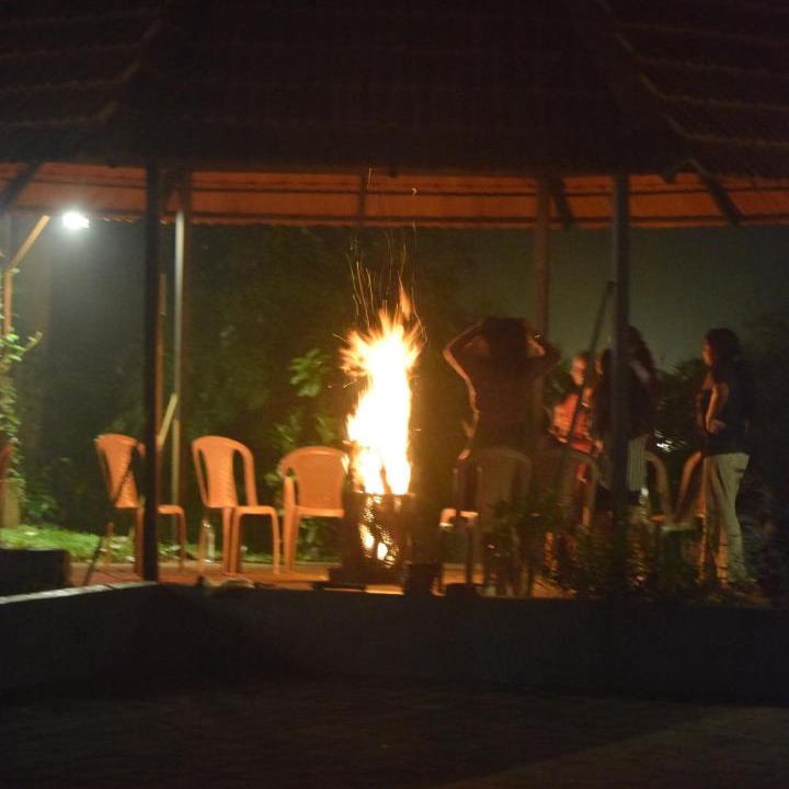 Photo of Others in Kalpetta