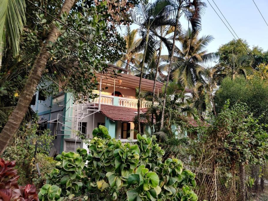 Photo of Buildings in Nagaon
