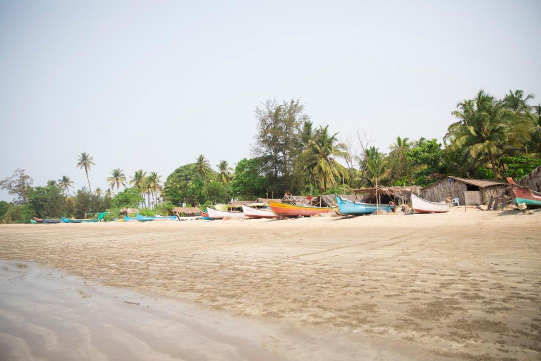 Photo of Others in Mandrem