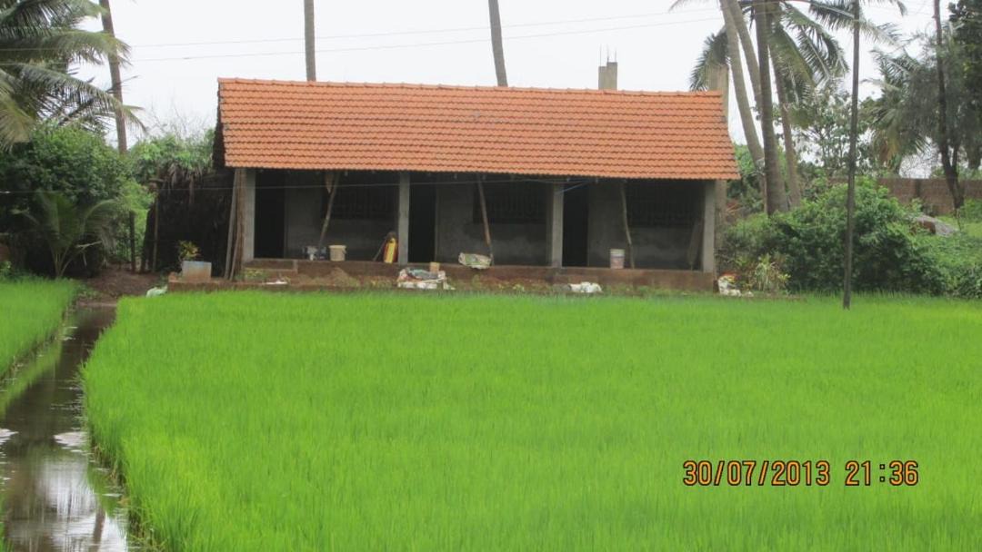 Photo of Others in Gokarna