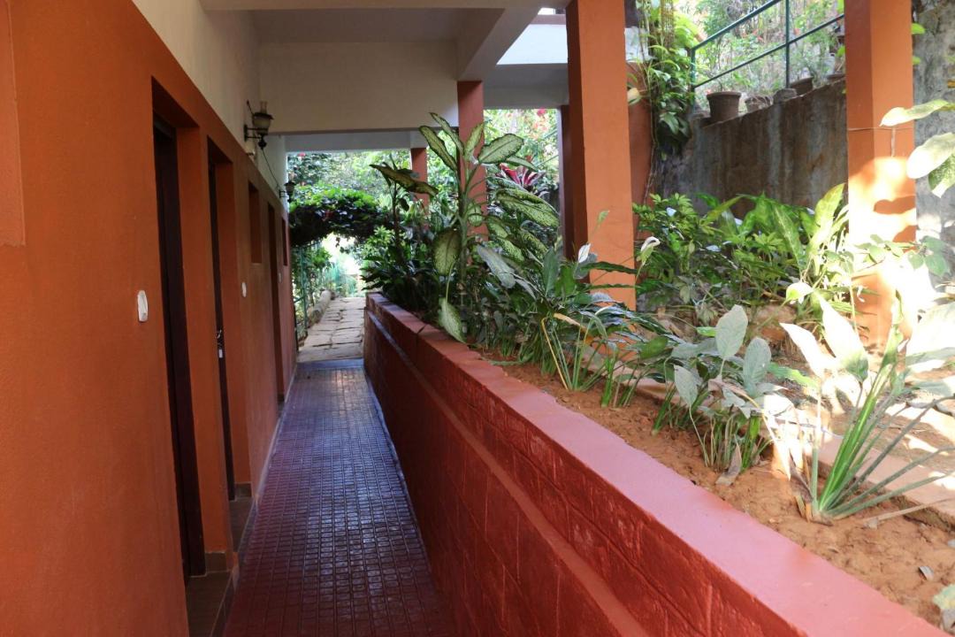 Photo of Others in Kalpetta