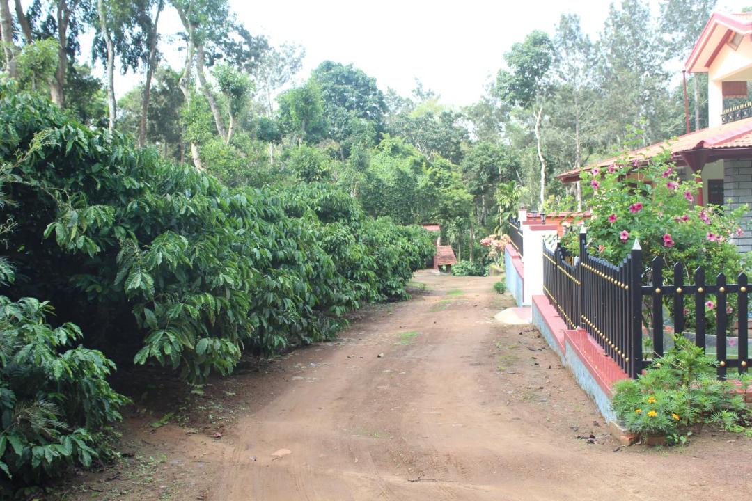 Photo of Others in Kushalnagar