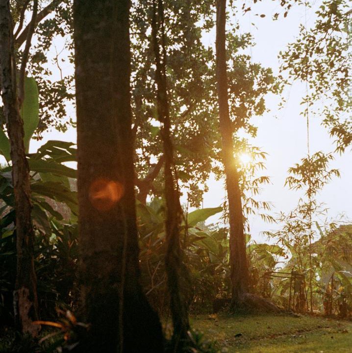 Photo of Others in Ella