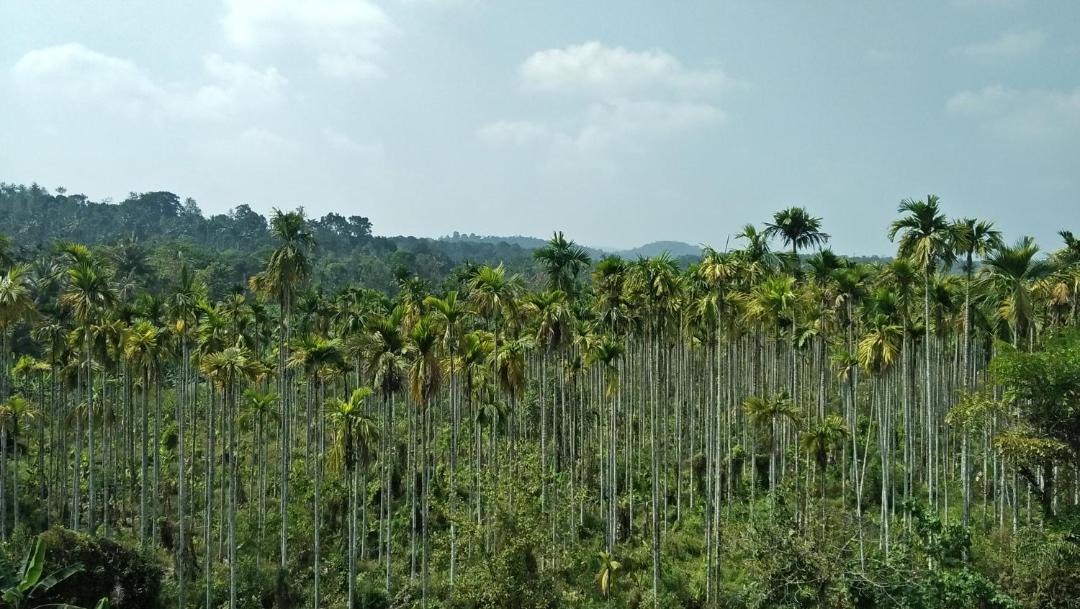 Photo of Others in Meenangadi