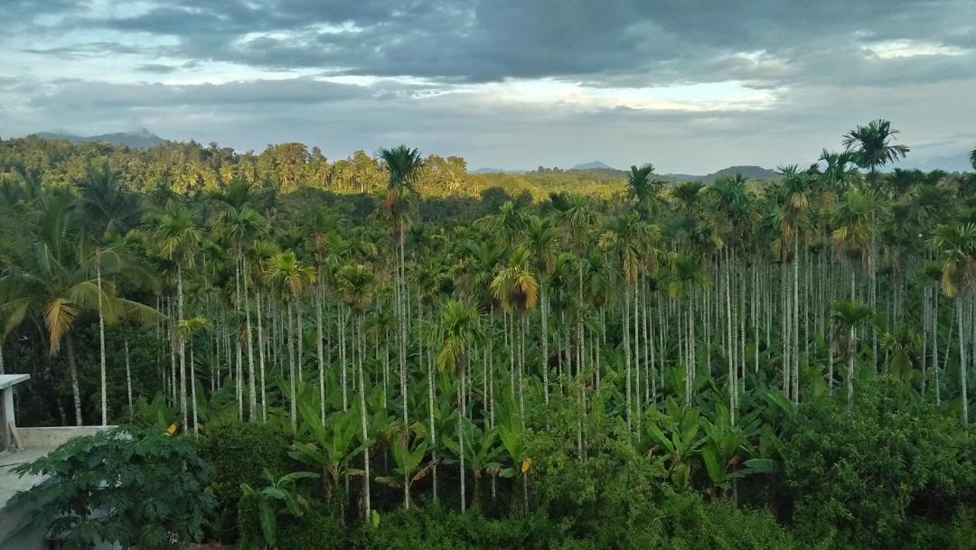 Photo of Others in Meenangadi