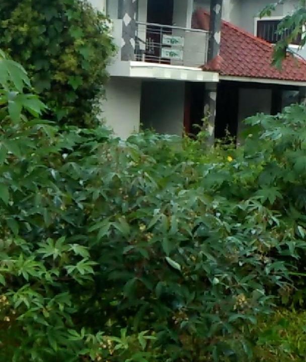 Photo of Others in Meenangadi