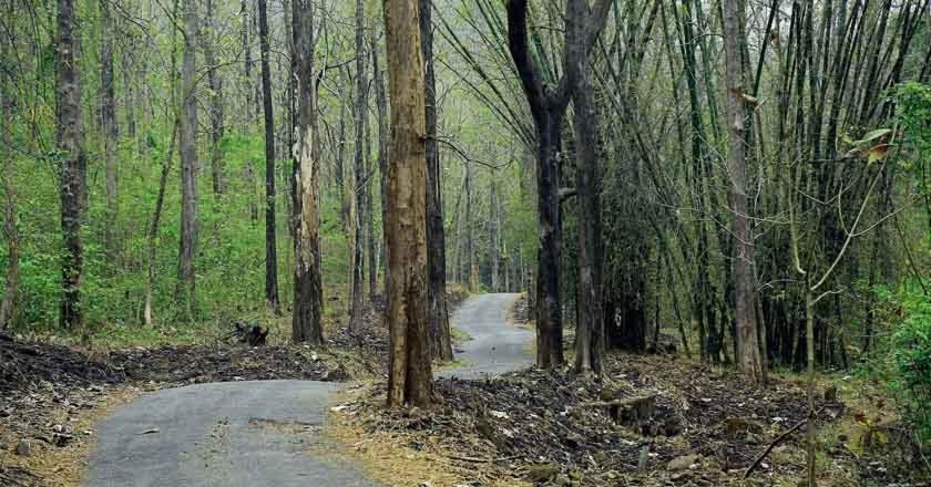 Photo of Others in Punalur