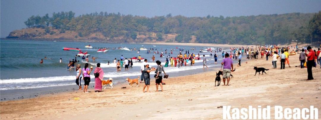 Photo of Others in Murud