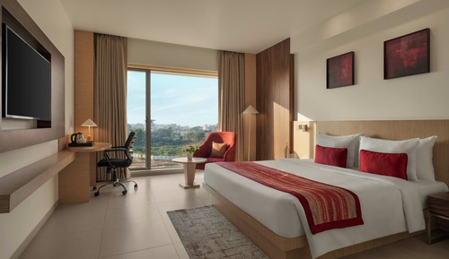 Room, 1 Queen Bed, Mountain View