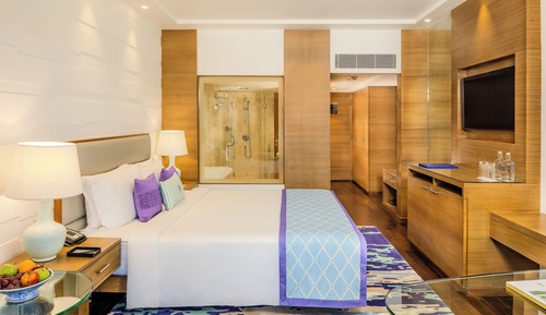 Premium Room, 1 King Bed, City View