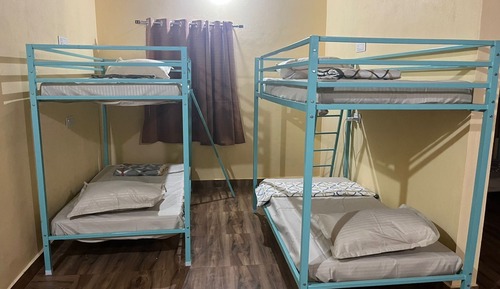 Classic Shared Dormitory
